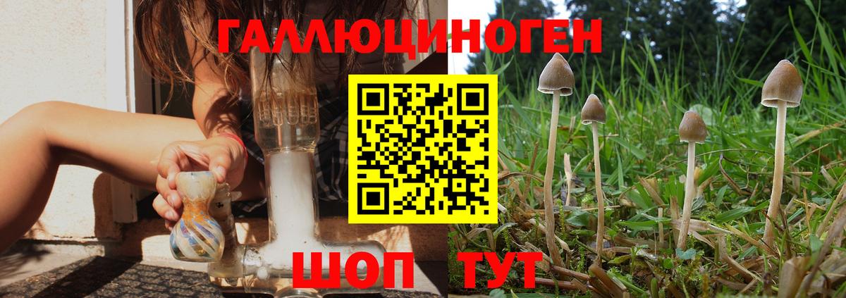 Иваново  Галлюциногенные грибы MAGIC MUSHROOMS  Вход с VPN 